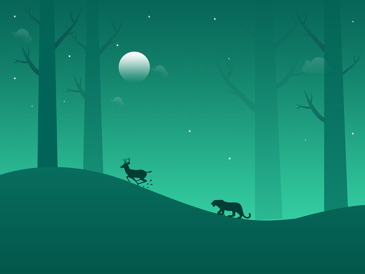 动物插画--临摹