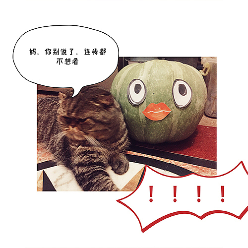 就这么混吃等死,挺好~3