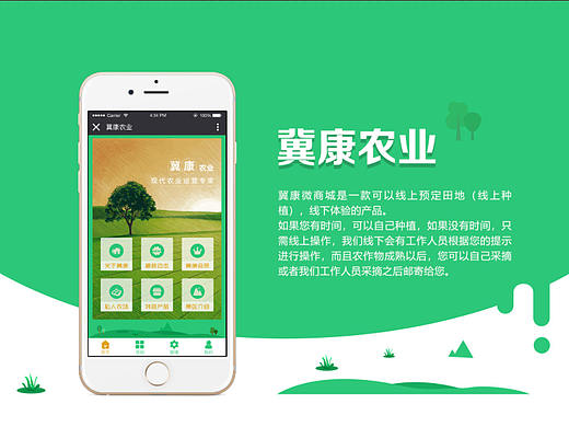 冀康微信商城