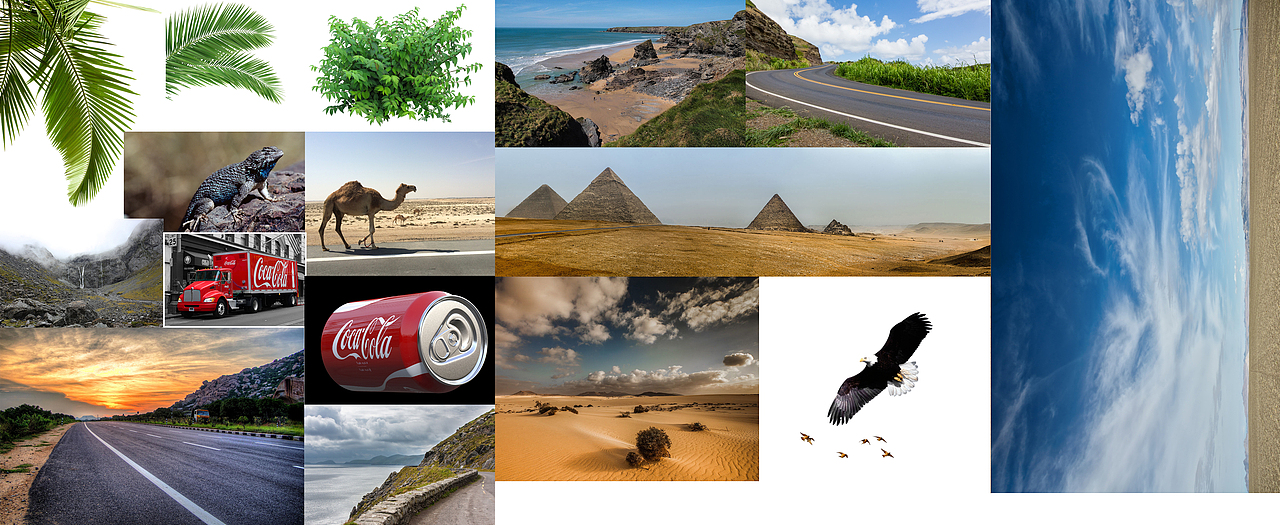 老师都发了,我也发一波