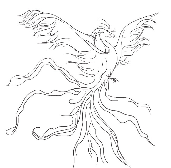 凤凰——山海经