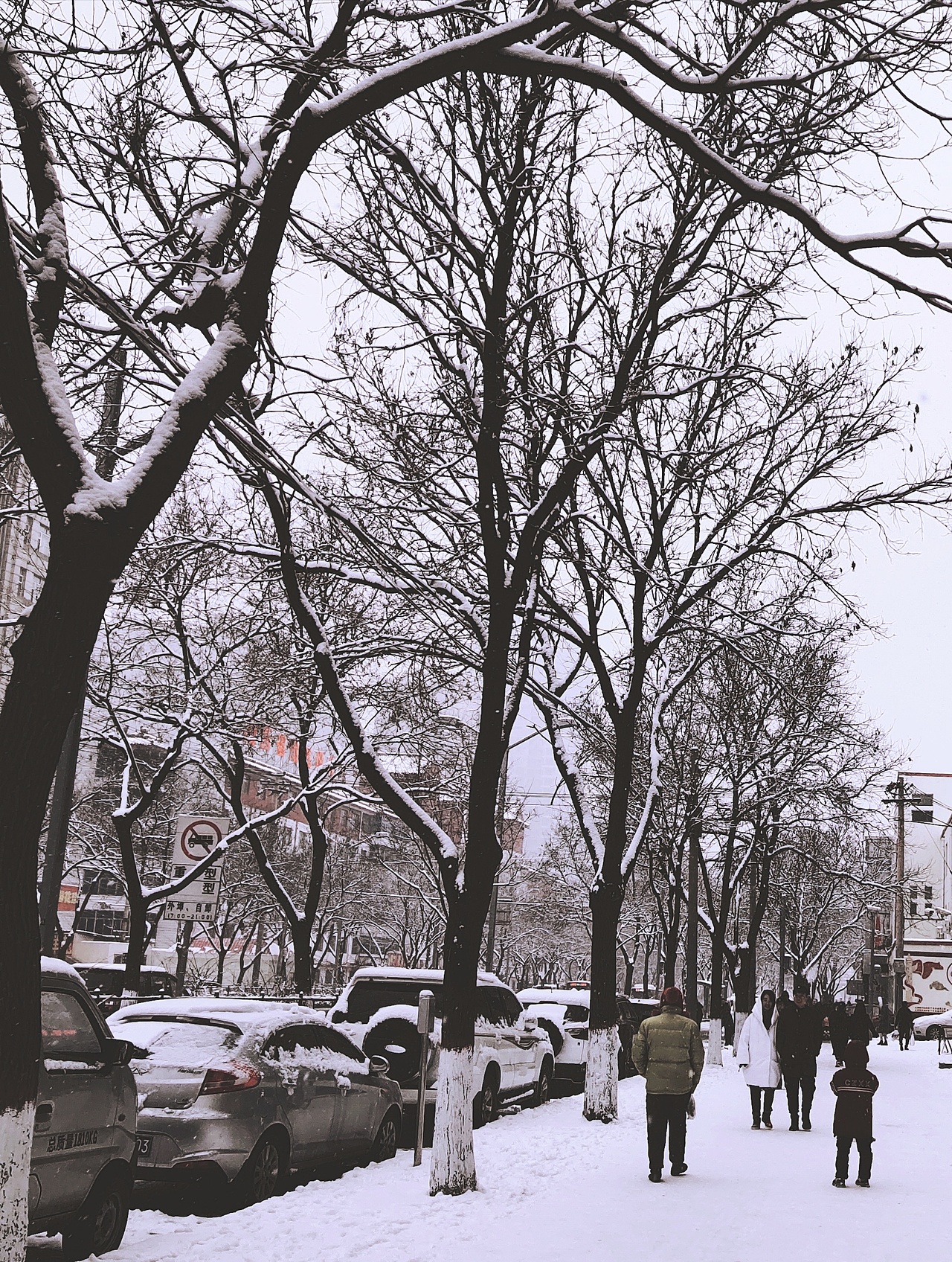 2020年1月5号记 太原下的第一场特大雪