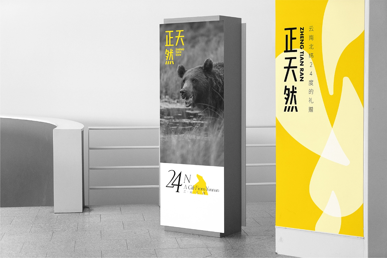 保健品品牌VIS设计案例