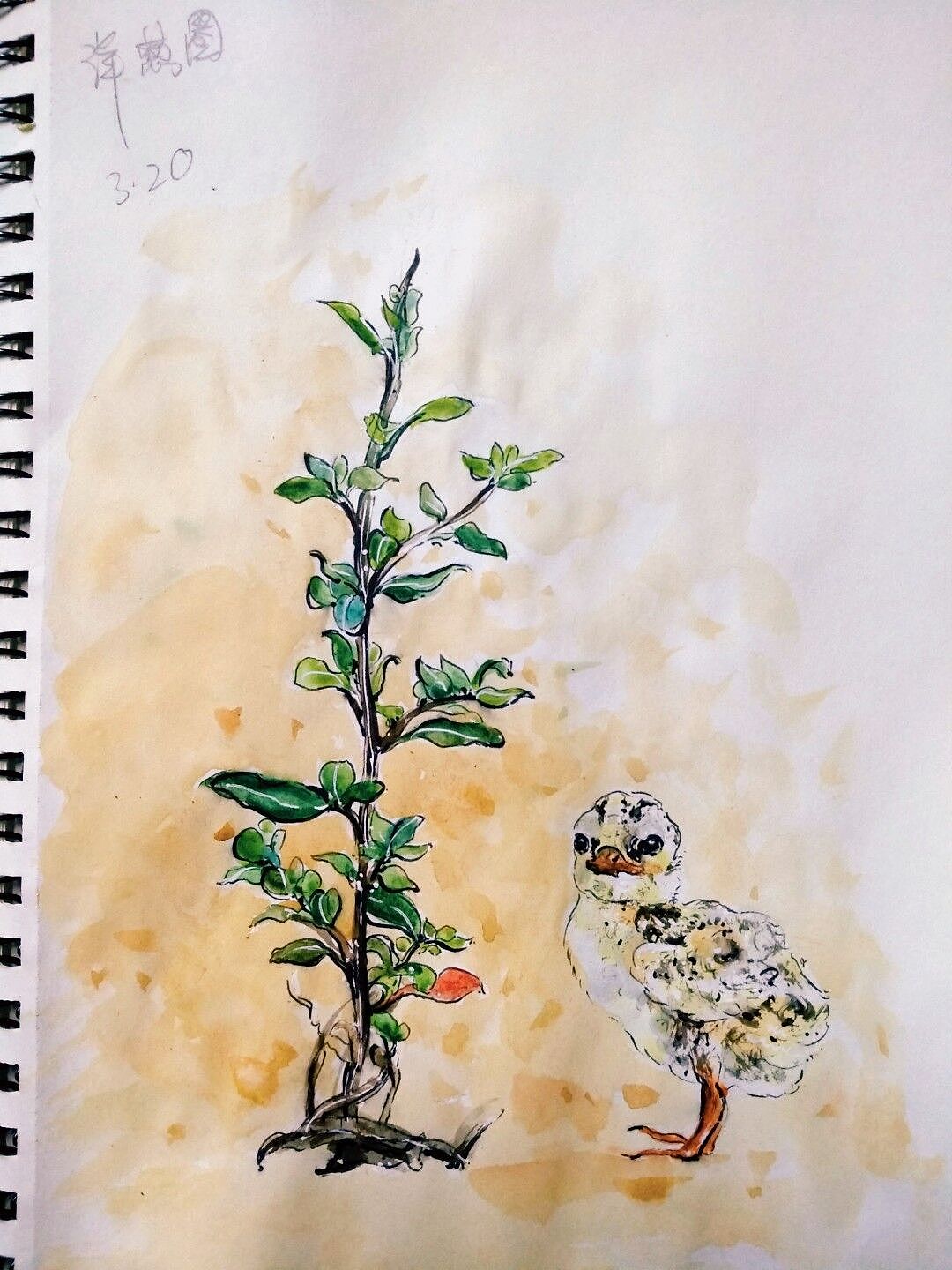 缤纷的动物世界2