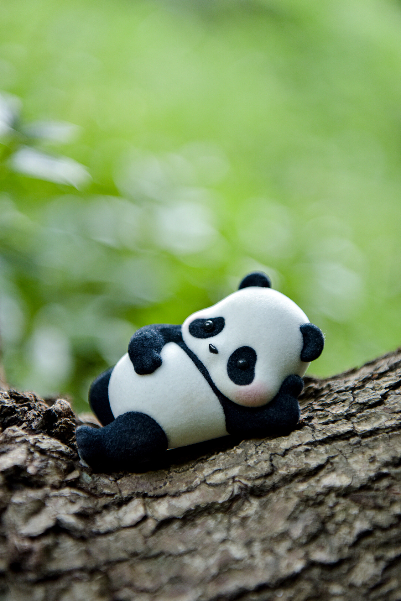 panda roll熊猫滚滚