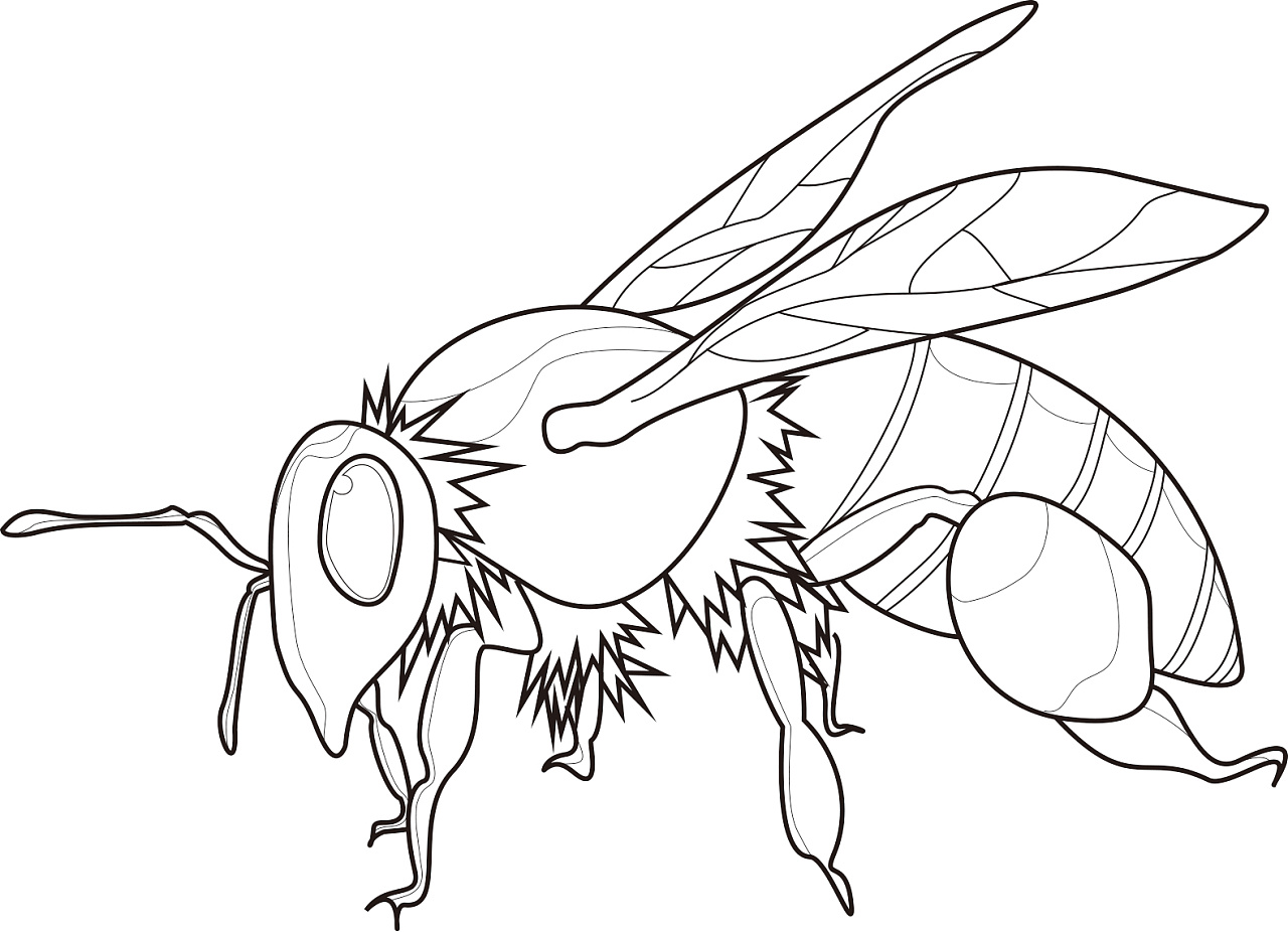 可爱卡通蜜蜂简笔画画法图片步骤（儿童绘画教学） - 有点网 - 好手艺
