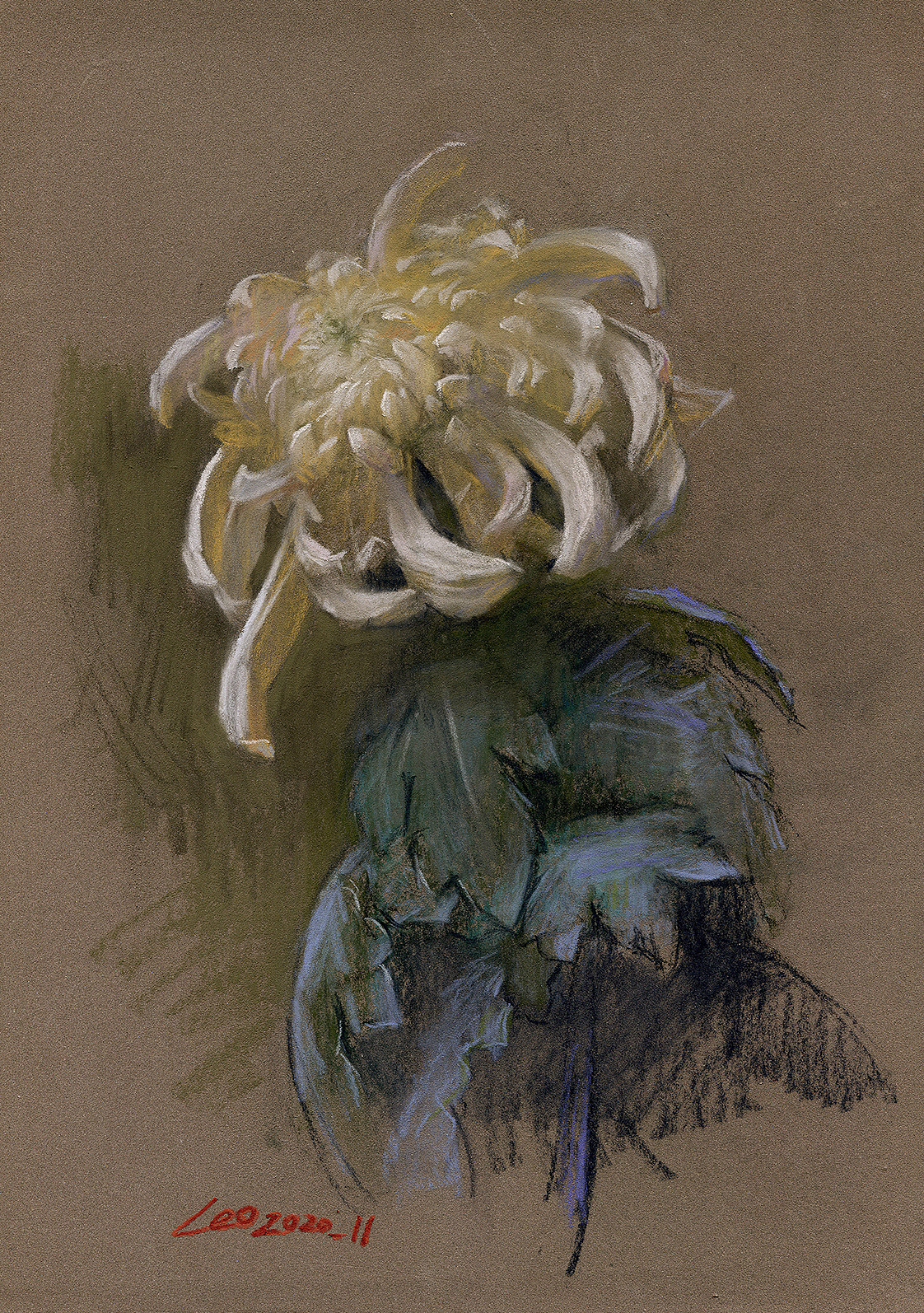 2020年何石磊作品合集