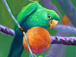 近期色彩速涂打卡