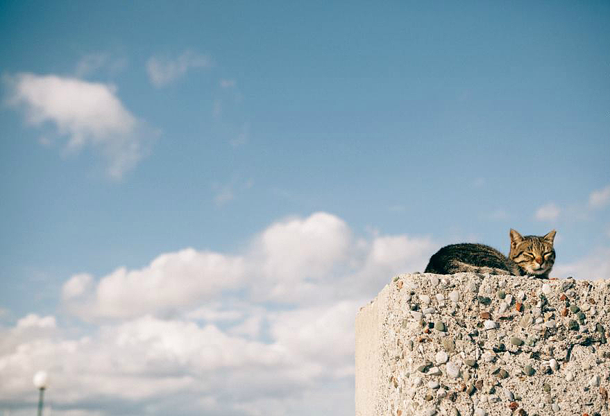 希腊旅行拍摄婚纱情侣亲子写真|最美的风景永远不在屏幕里（图ZNDM5MzY5MTI=） - 人像摄影 - 站酷设计师lycheesss原创素材 - 站酷ZCOOL