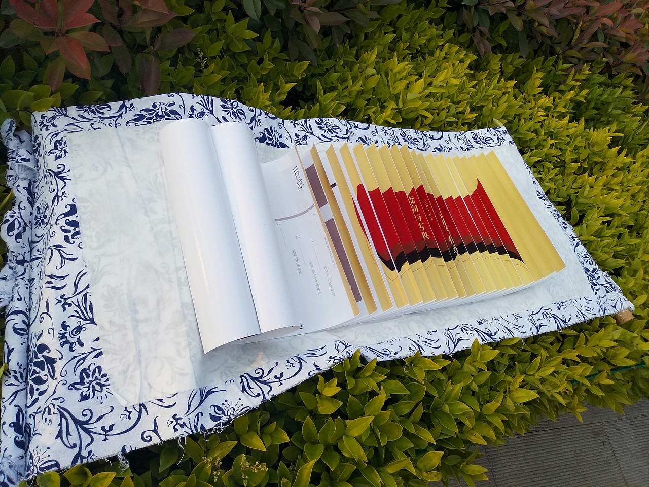 龙鳞装书籍设计瓷向