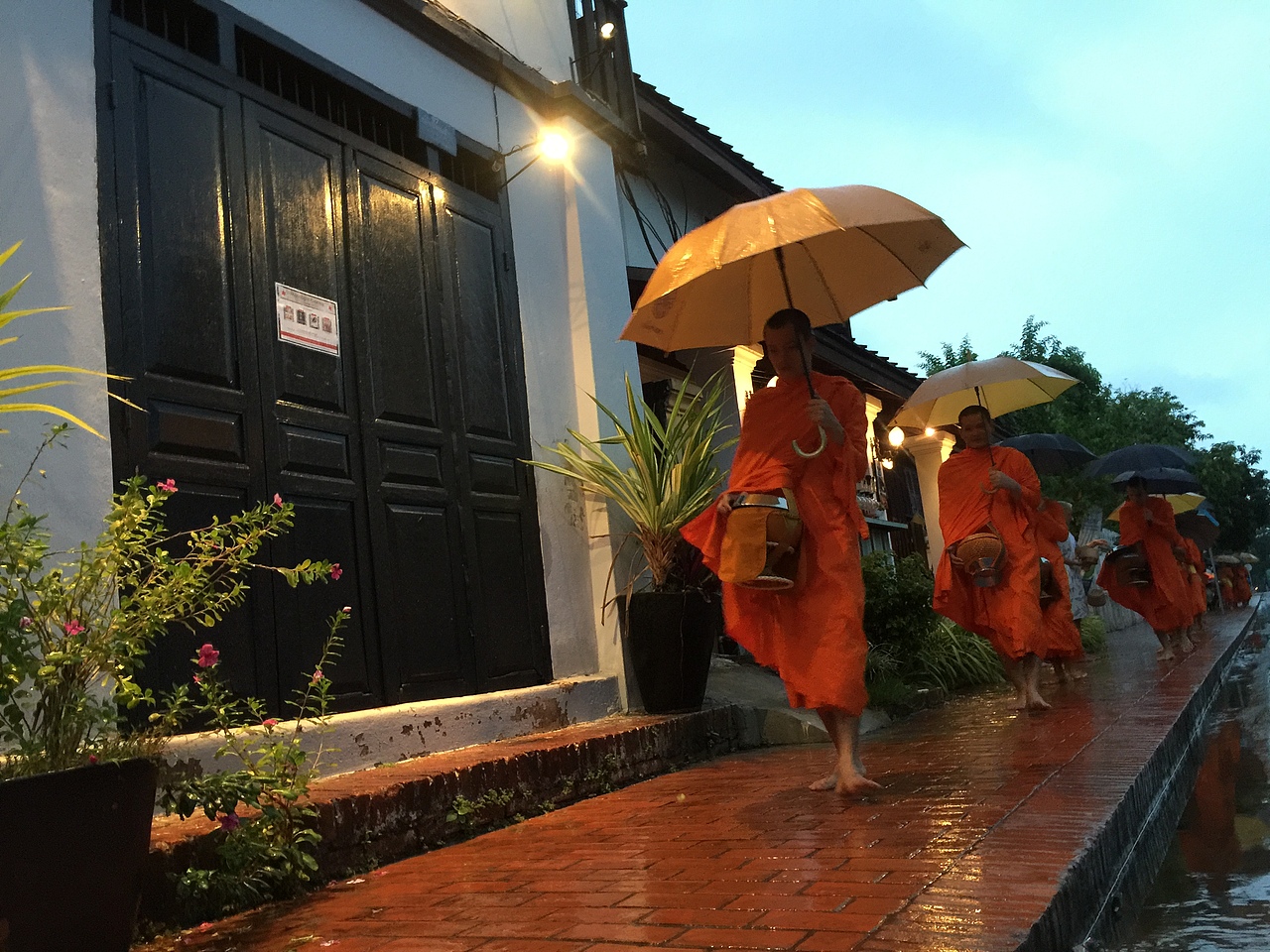 琅勃拉邦清晨布施