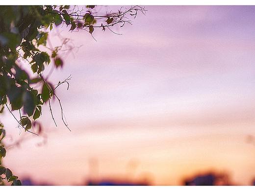 😀😜🐎🐶🐈💰👌🔥🏃🌶🕯（个人主页-ZMzA4ODk0NTI=） - 品牌 - 站酷设计师瓦瓦爪原创素材 - 站酷ZCOOL