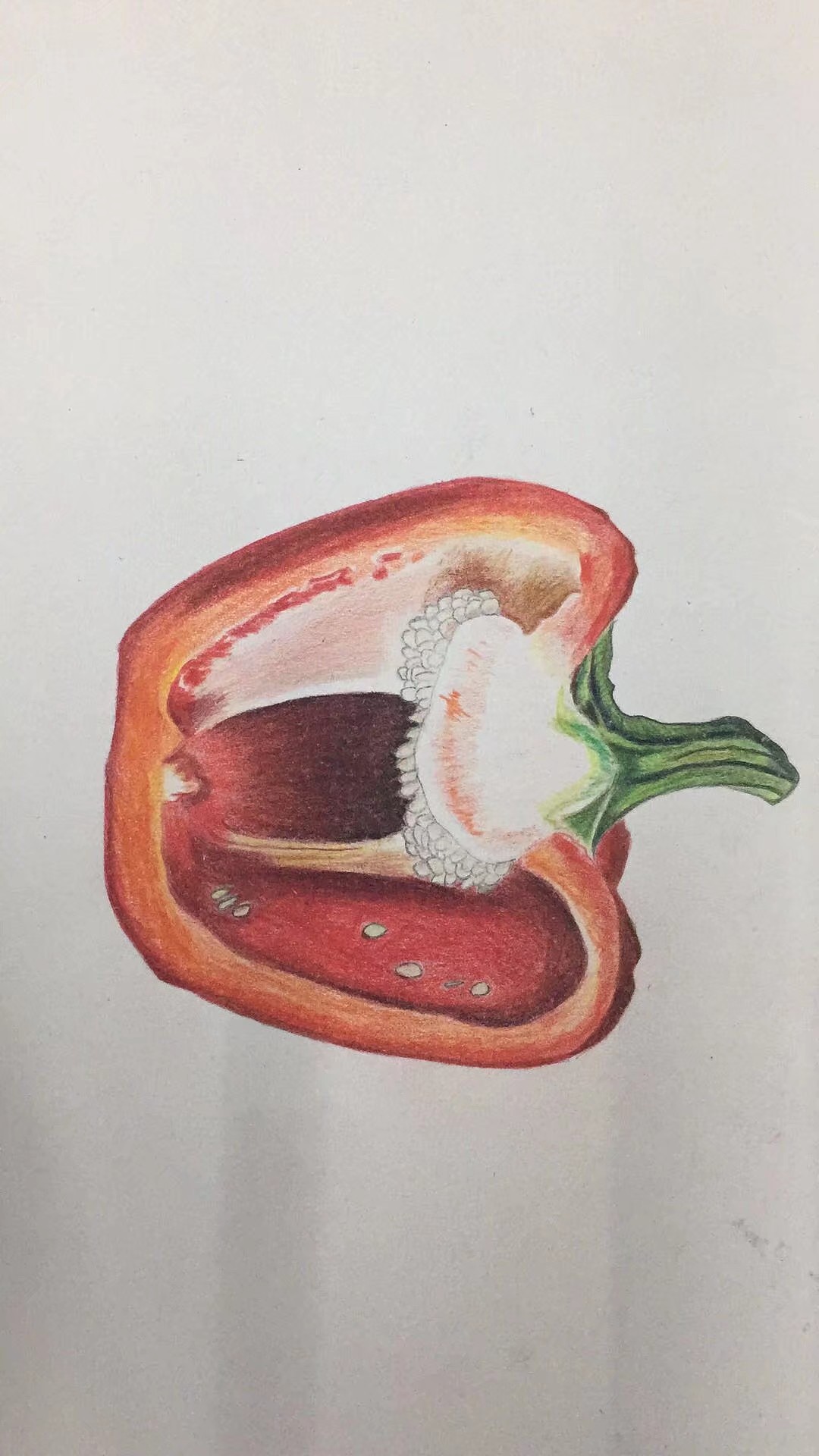 彩椒|插画|创作习作|看到我请叫我学习_原创作品-站酷(zcool)