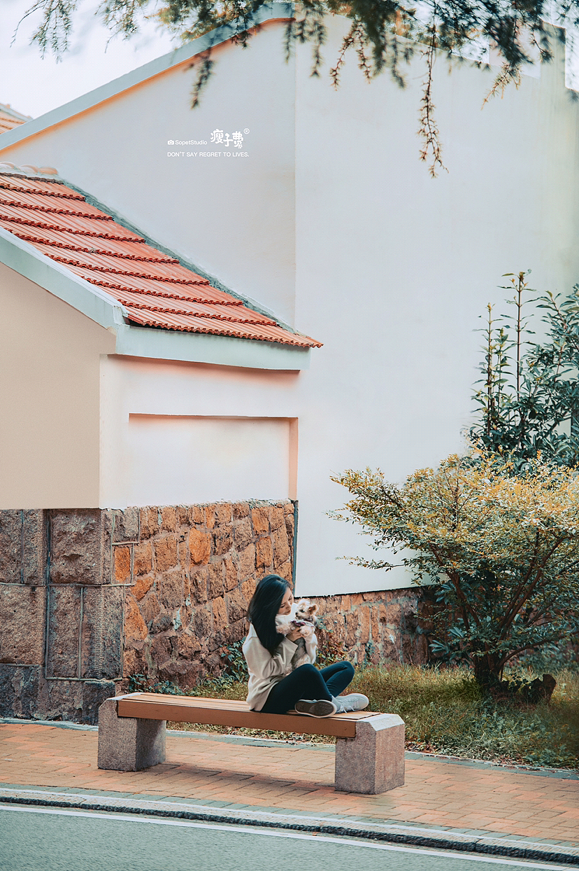 打卡青岛『小麦岛』📸（图ZMzIyNDU1NTY4） - 宠物摄影 - 站酷设计师瘦子费原创素材 - 站酷ZCOOL