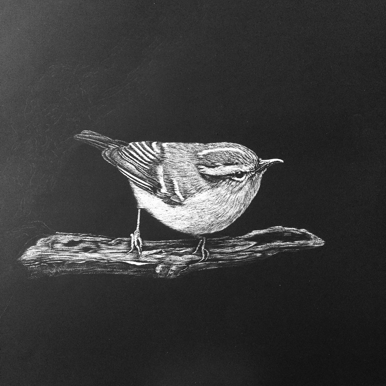 刮画《觅知音》