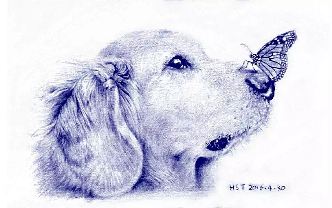 圆珠笔画《狗与蝴蝶》