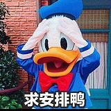 imishrl的头像