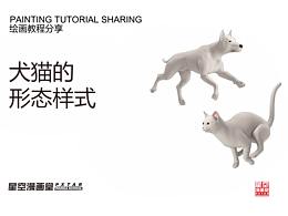 犬猫的形态样式