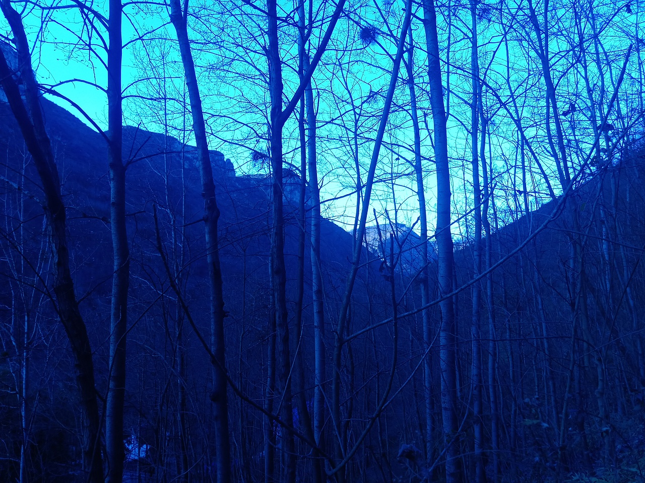 现在这个样的世界已经很少有这样的风景了