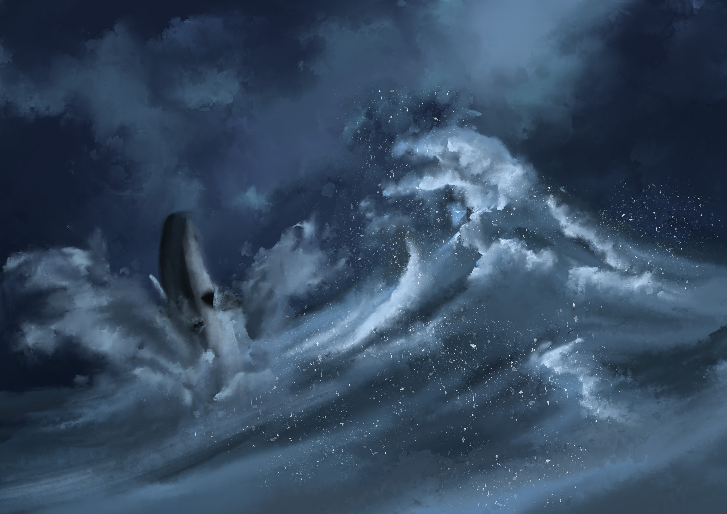 蓝色系,海洋动物系列|插画|插画习作|叁目sanm - 原创作品 - 站酷