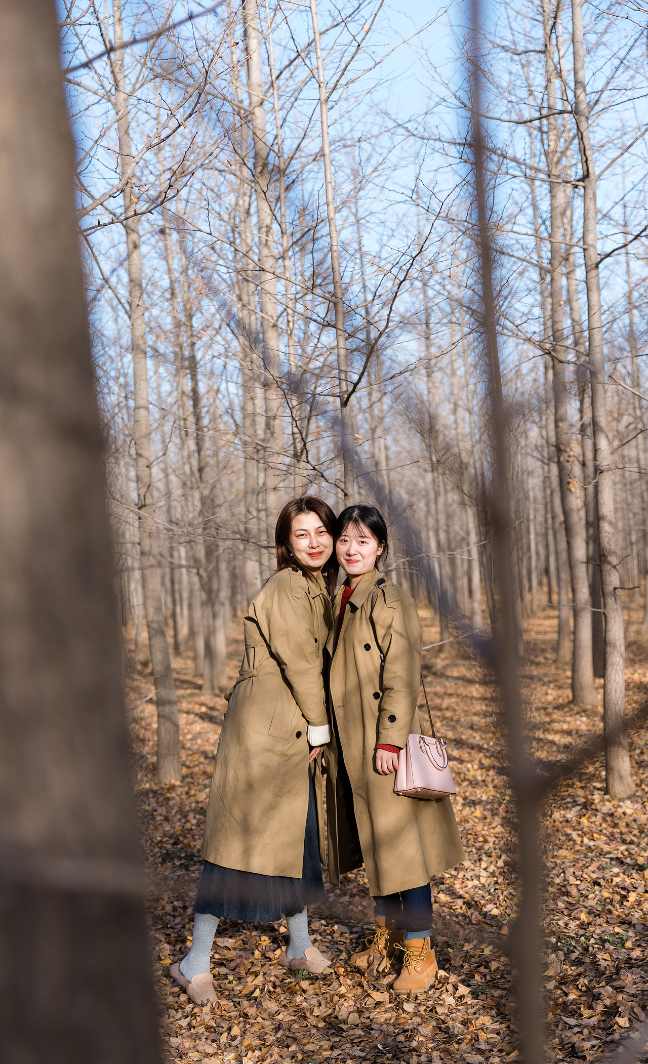 银杏林 人像摄影  秋天落叶