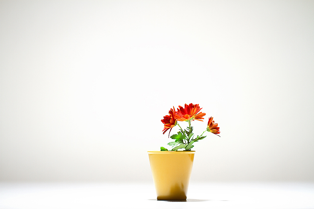 为自己的摄影(十二)