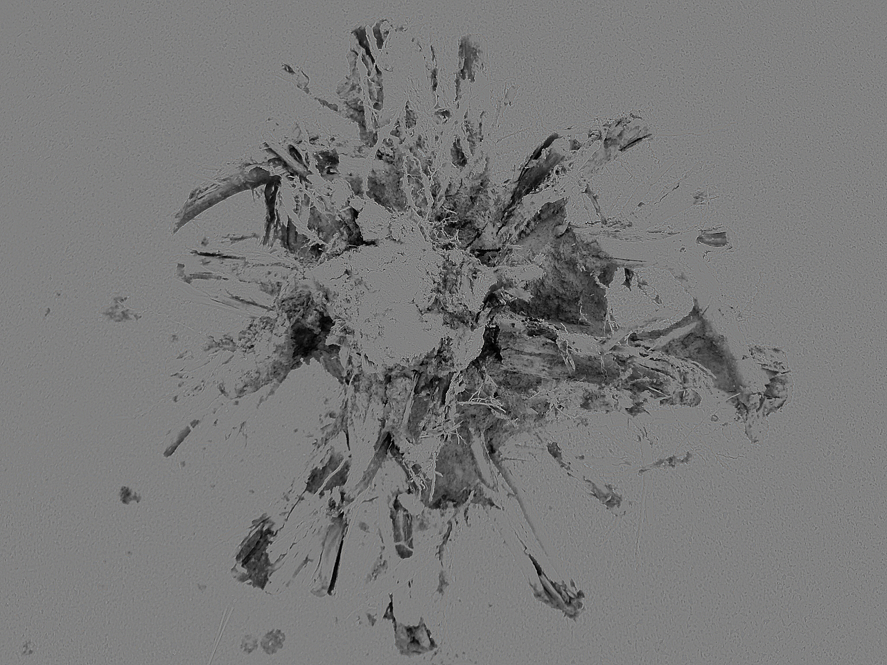 误入老树深处（图ZNTU2MTA3MjQ=） - 绘画 - 站酷设计师明天61原创素材 - 站酷ZCOOL