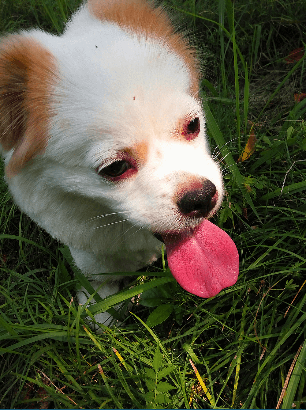 一组2016上半年的摄影作品