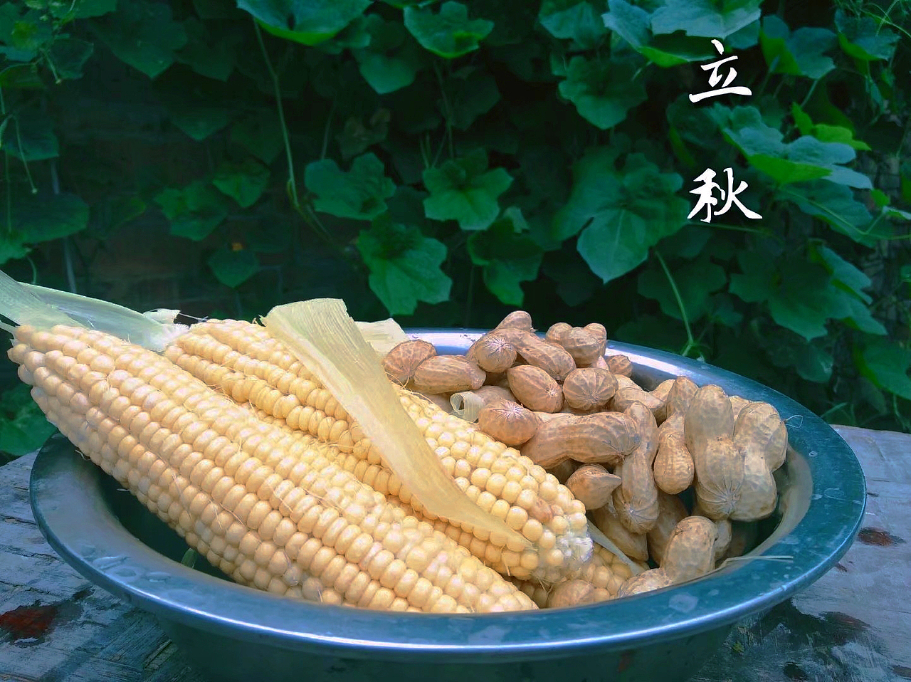 国庆回乡记录--中国最普通农村下的乡村镜头(图ZMjcyODI1ODQ0) - 风光摄影 - 站酷设计师猫rongrong原创素材 - 站酷ZCOOL