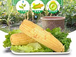 详情页