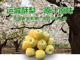 酥梨詳情頁