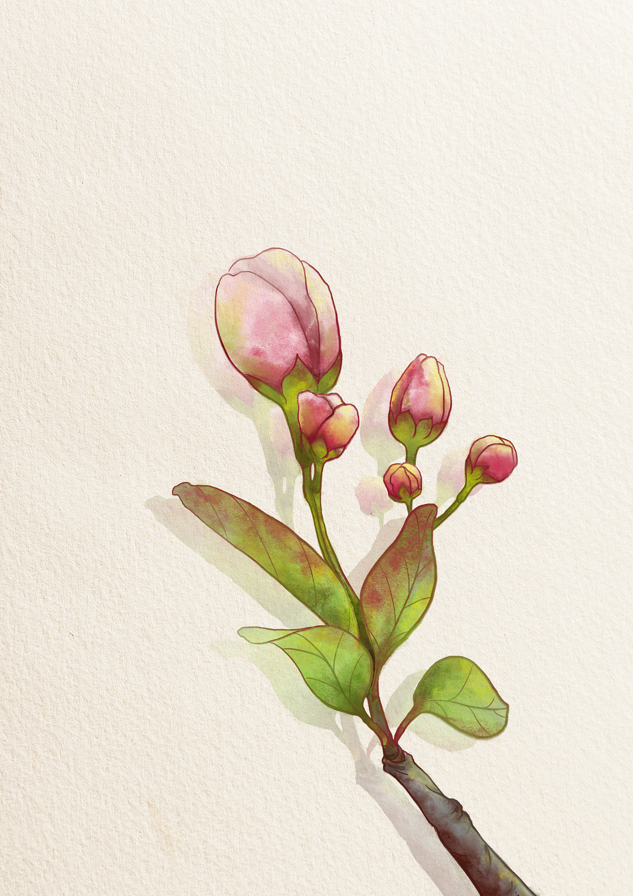 春暖花开|插画|创作习作|姜茶阿茶 - 原创作品 - 站酷 (zcool)