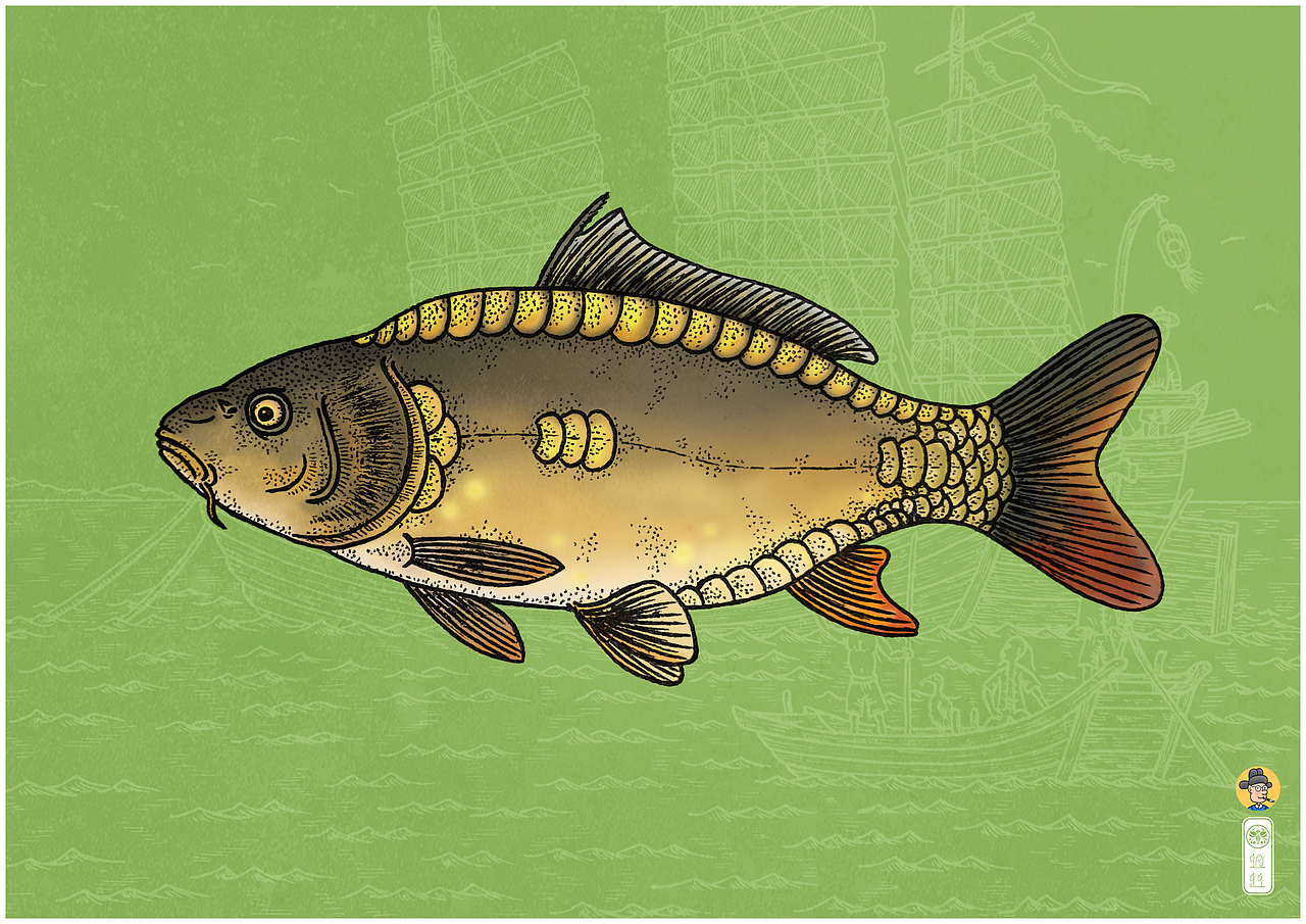 生物绘本图鉴——水产市场常见的淡水鱼