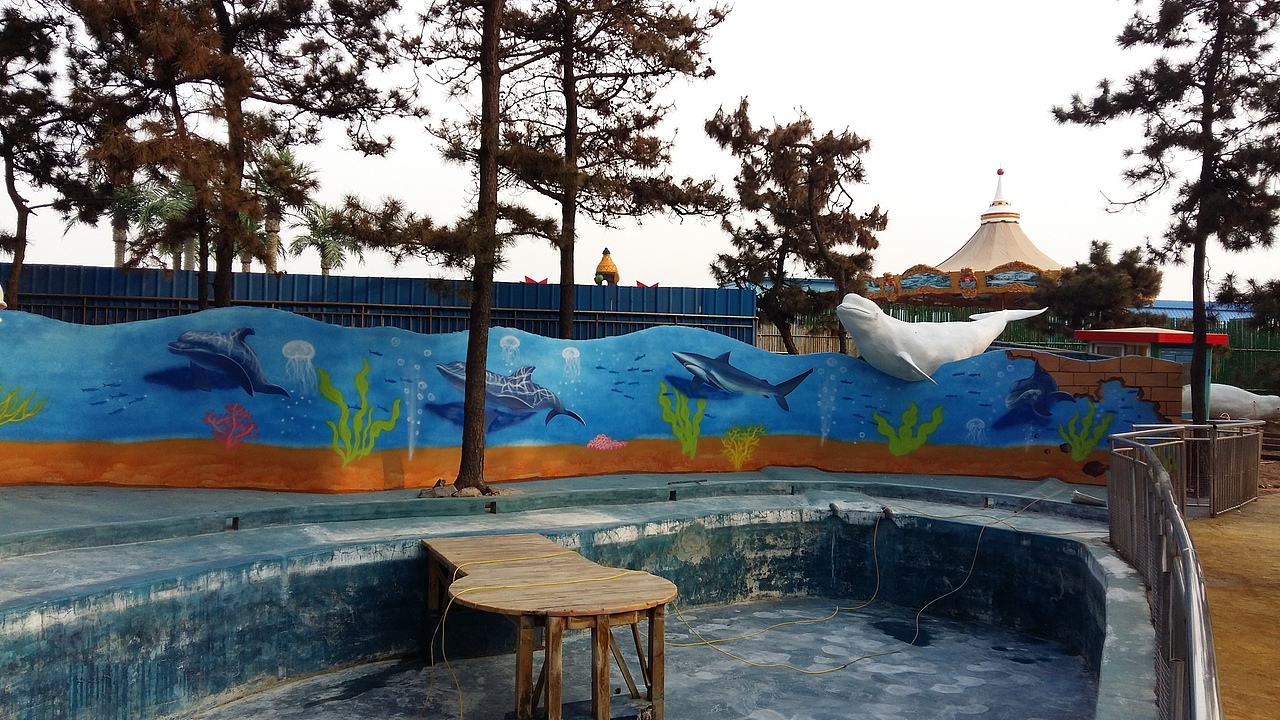 日照农村文化墙,壁画,手绘墙,幼儿园彩绘,墙体彩绘