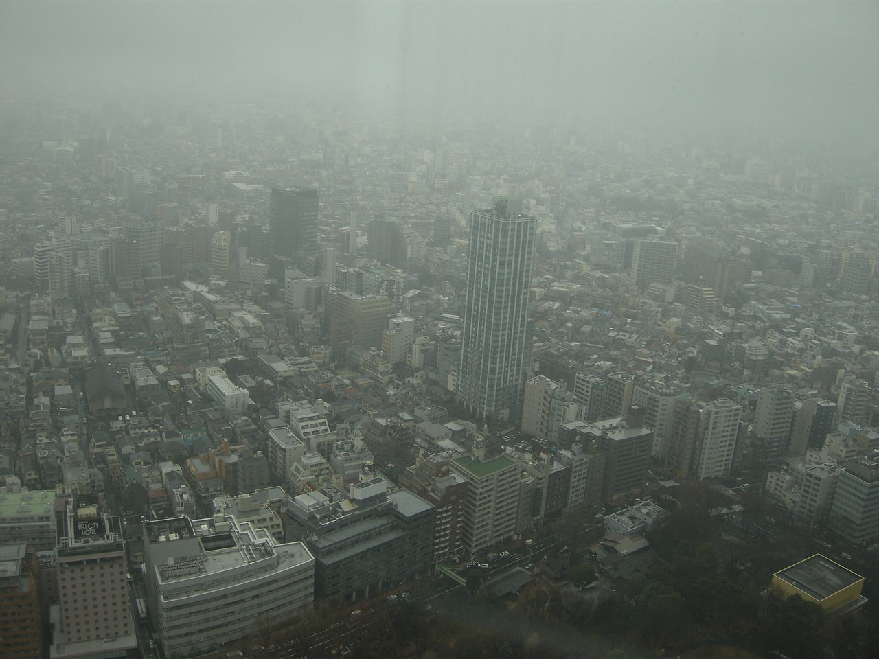 霓虹，霓虹一路