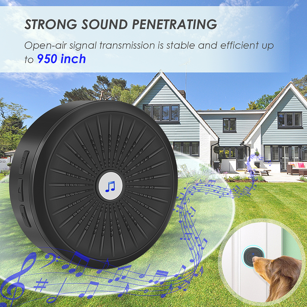 亚马逊产品拍摄-宠物门铃