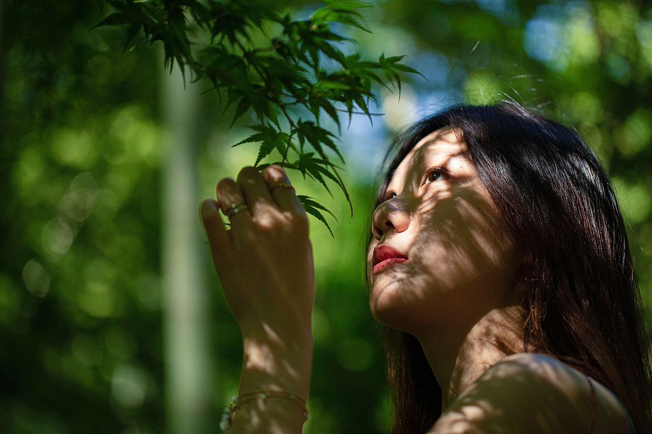 人像摄影,竹林拍摄