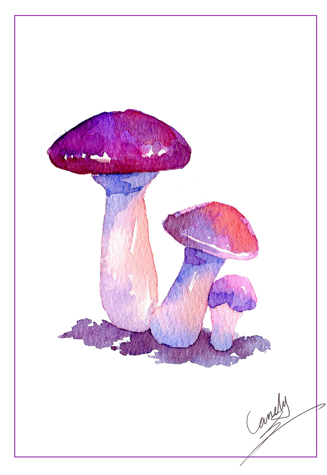 毒蘑菇绘画图片