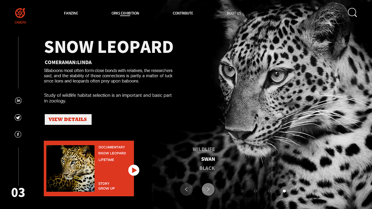 网页概念稿稿设计（图ZMjA4NjQ2NDA4） - 其他网页 - 站酷设计师木木子皿原创素材 - 站酷ZCOOL