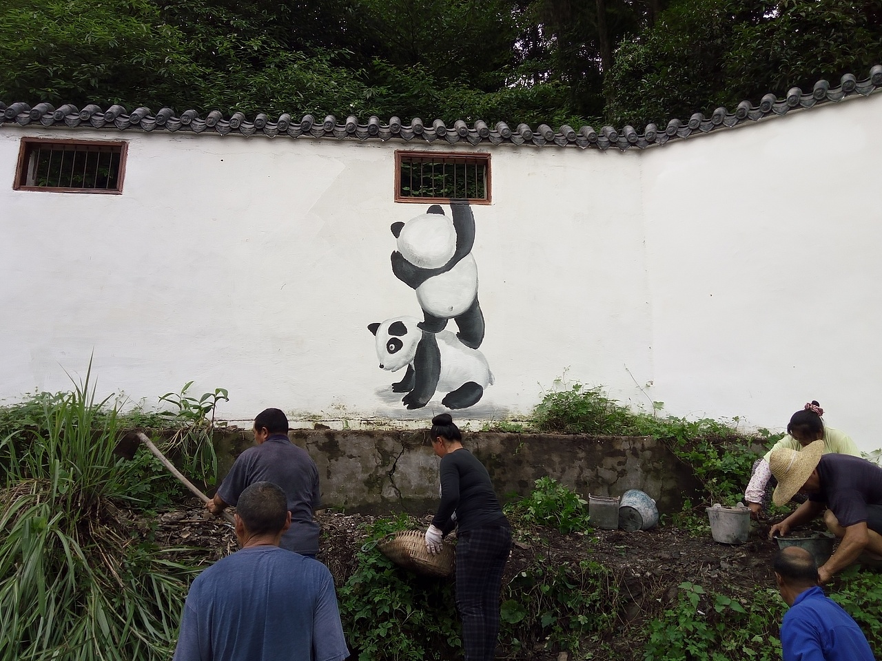 新农村墙绘,乡村文化墙,社区墙绘,社区文化墙