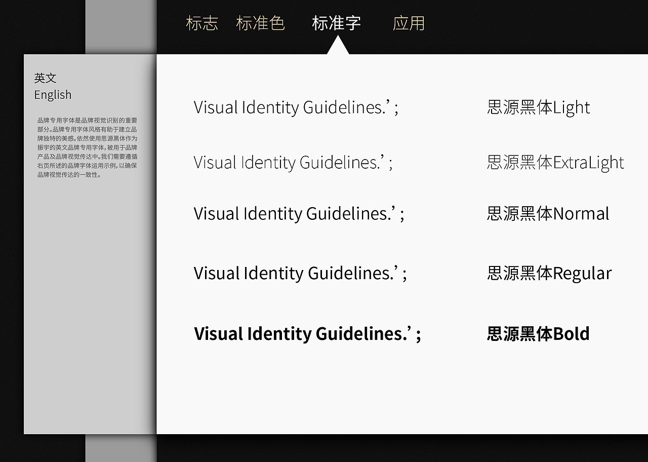 振宇建设VI手册