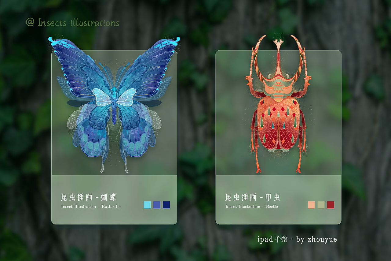 昆虫插画（图ZMjQ3NzgwNDA0） - 创作习作 - 站酷设计师Zououh大悦原创素材 - 站酷ZCOOL