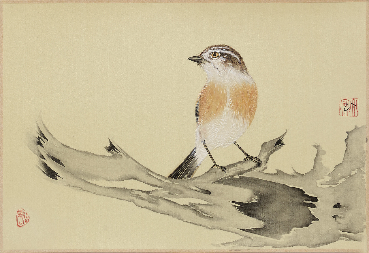 張?zhí)飩セB畫作品（圖ZMTUzOTA2NjE2） - 繪畫 - 站酷設(shè)計師張?zhí)飩ピ瓌?chuàng)素材 - 站酷ZCOOL