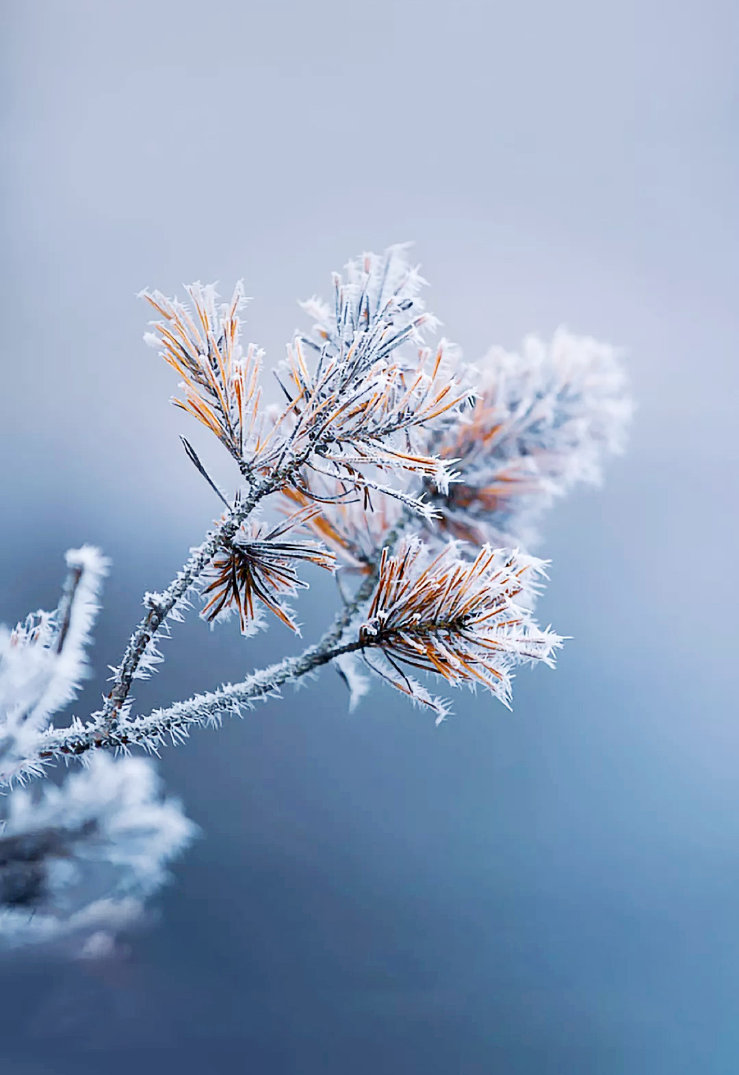 學(xué)渣宋的個(gè)人主頁（背景預(yù)覽） - 主頁背景設(shè)置 - 站酷設(shè)計(jì)師學(xué)渣宋原創(chuàng)素材 - 站酷ZCOOL