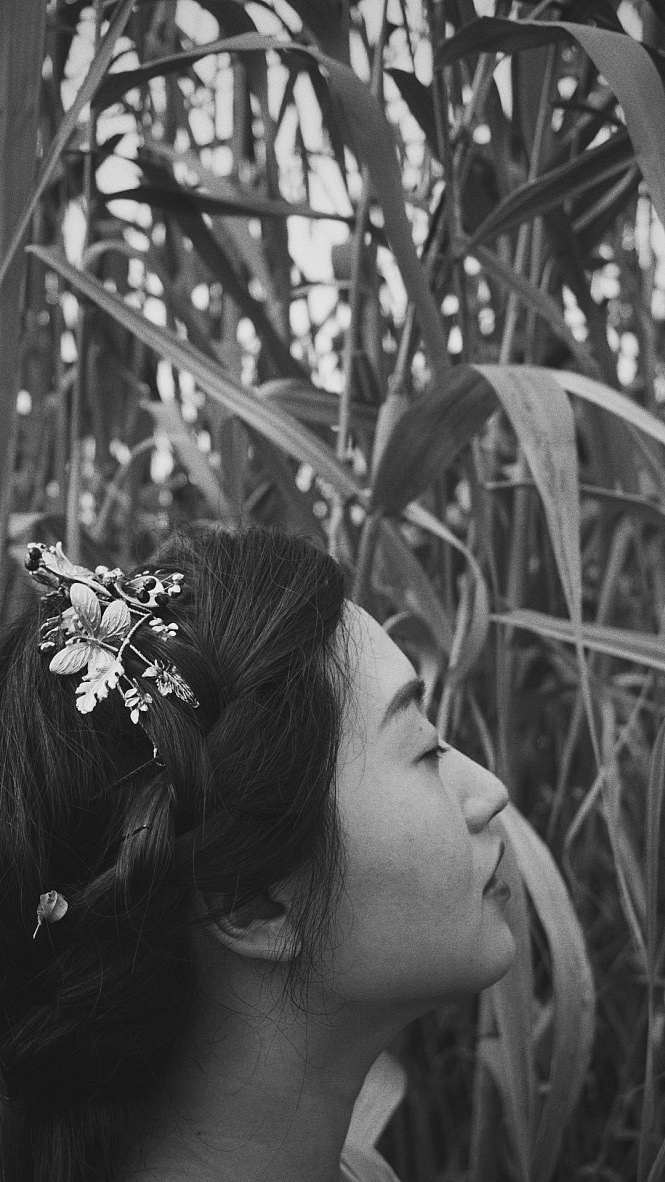 黄昏是我一天中视力最差的时候