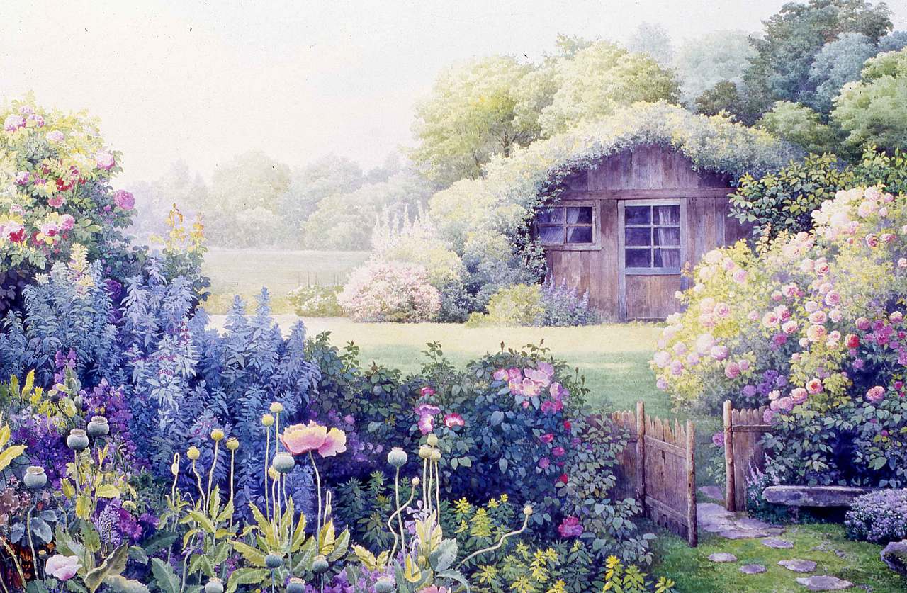 我喜欢驻足在晨曦中的玫瑰花前静待花开