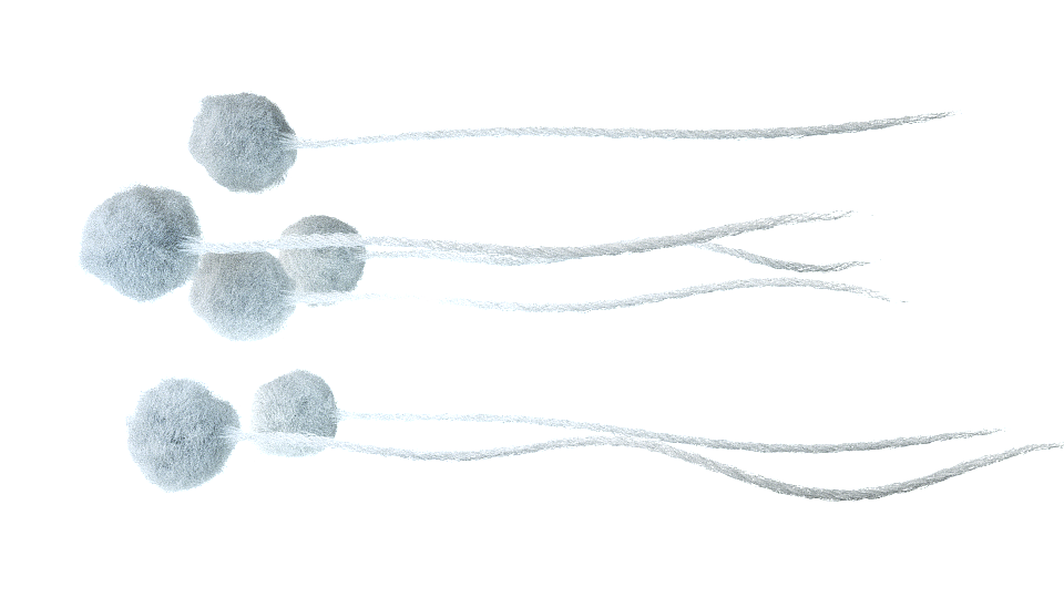 C4D动态视频 模仿CG77军长的毛巾视频