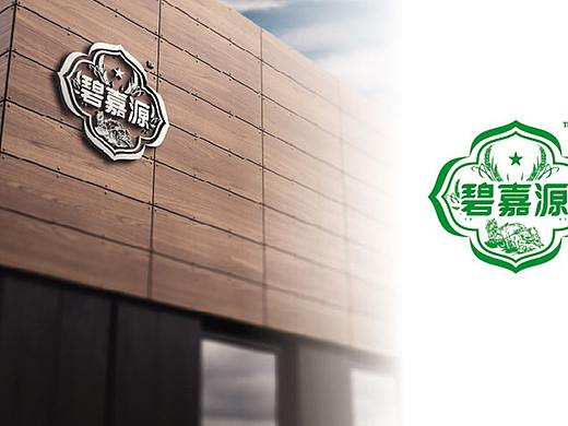 济宁品牌设计丨碧嘉园——包装设计（原创）