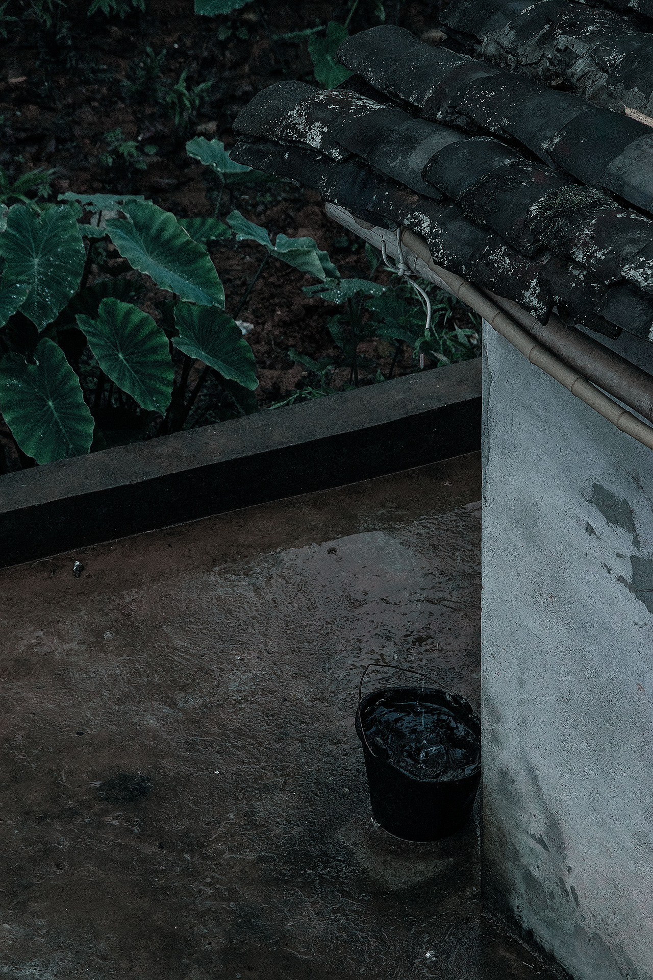 天青色等烟雨,我在山里等你