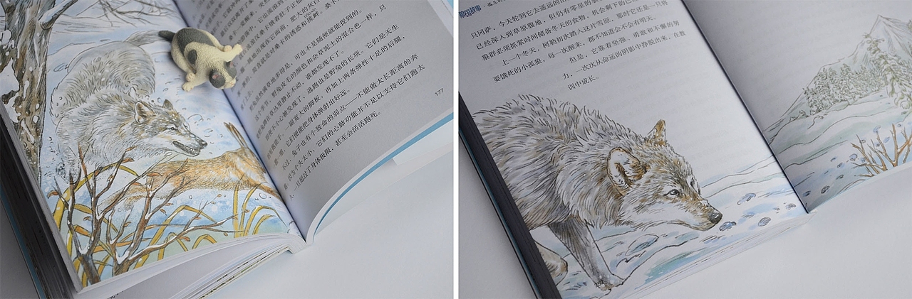 狼国故事（第一部）（图ZMjE5Mzc0MDg0） - 儿童插画 - 站酷设计师半毫米原创素材 - 站酷ZCOOL